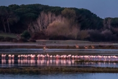 The lagoon